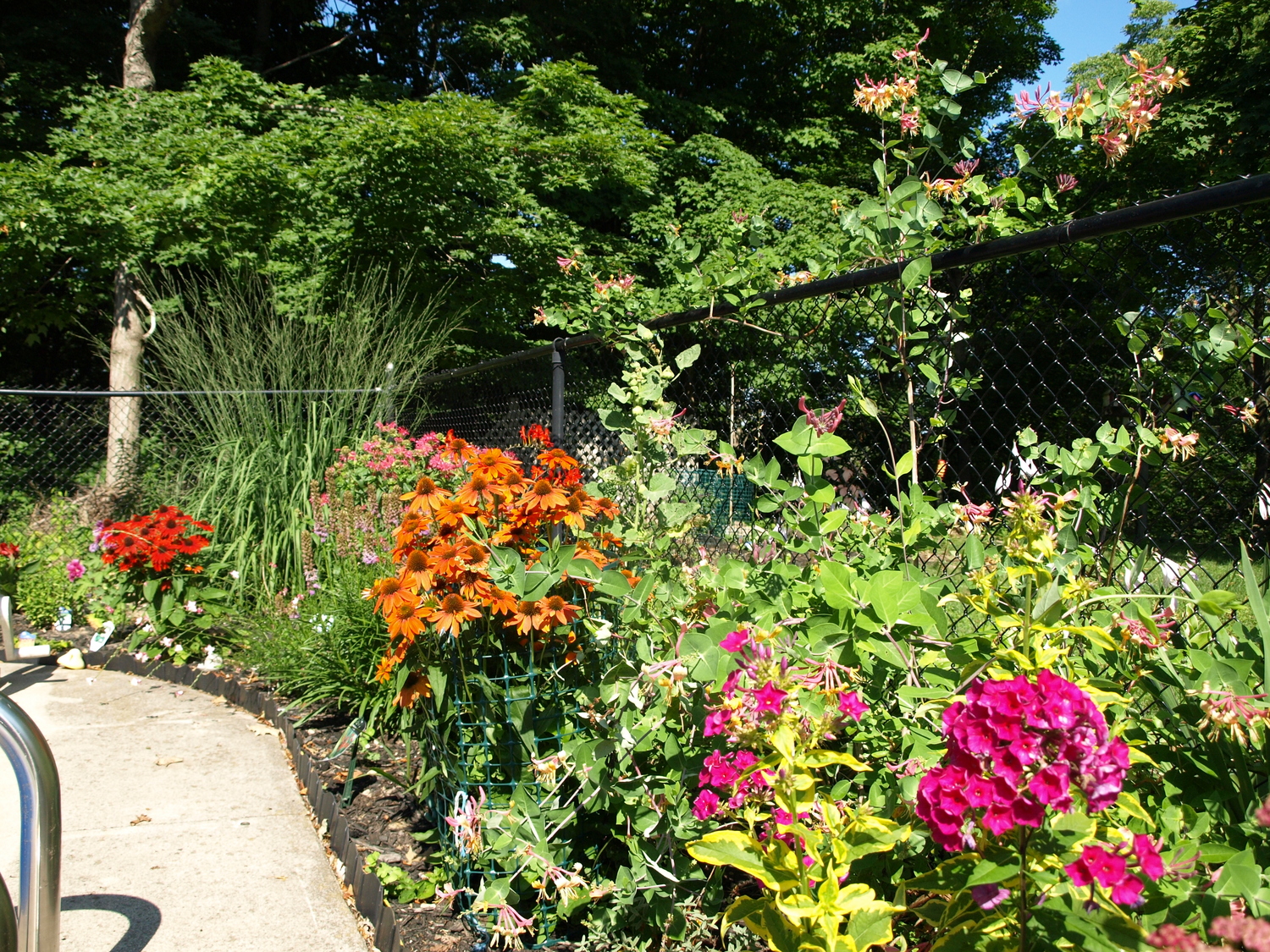 butterfly-garden