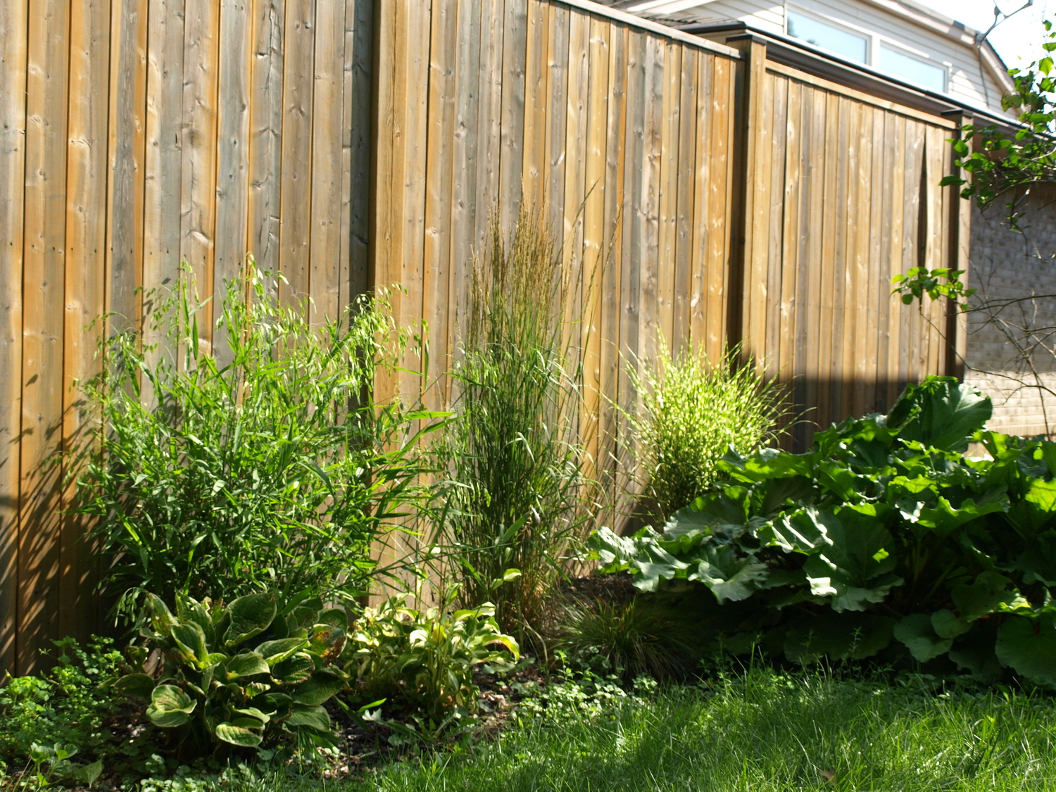 fence-garden